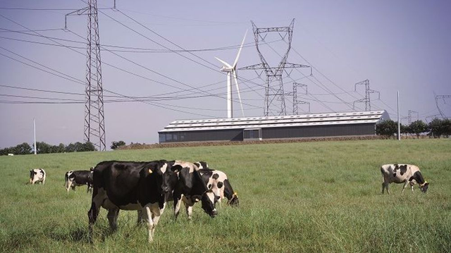 Géobiologie professionnel