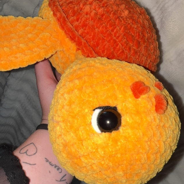 Tortue orange 🧡
