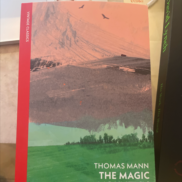 The Magic Mountain Thomas Mann