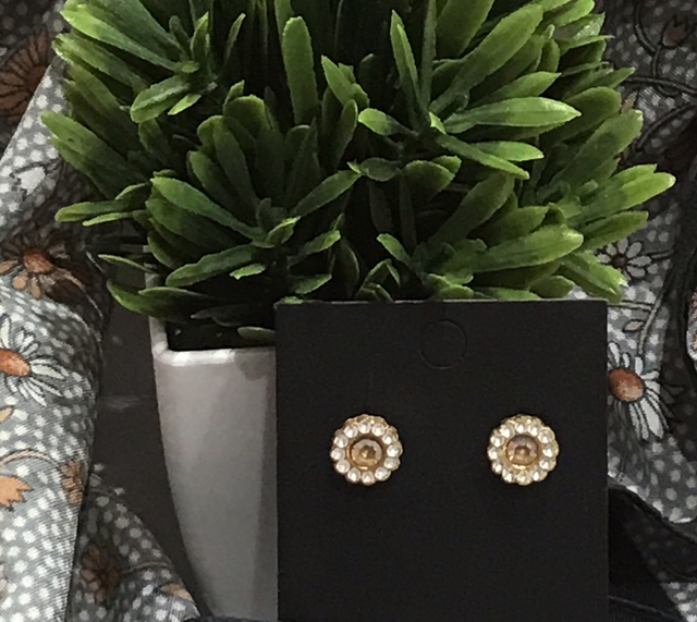 Brown Stone Stud Earrings- STU17