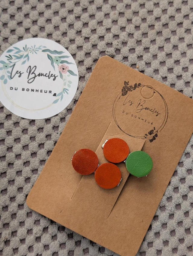 Barrette b061