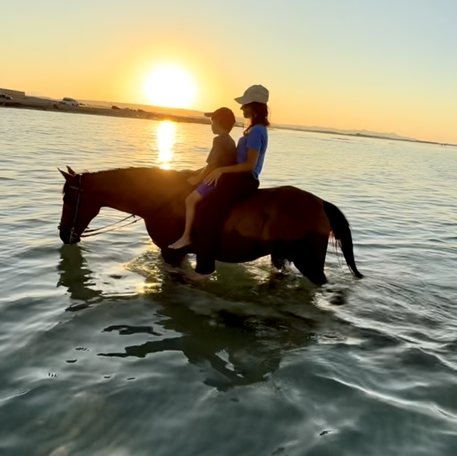Balade à cheval + nage avec le cheval 