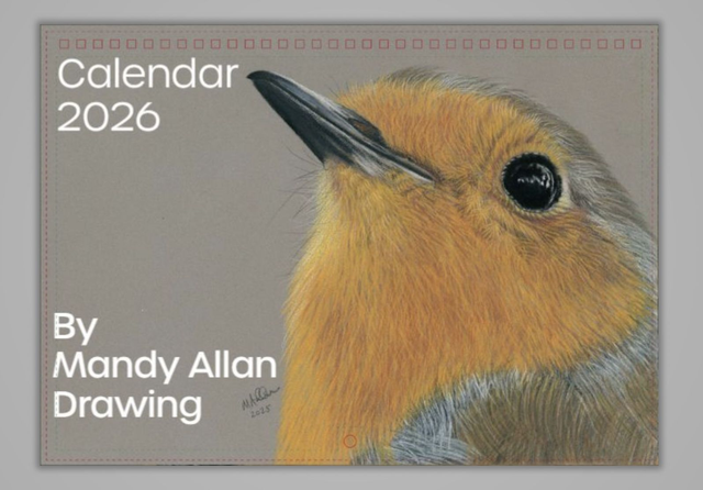 2026 Wall Calendar Pre-Order