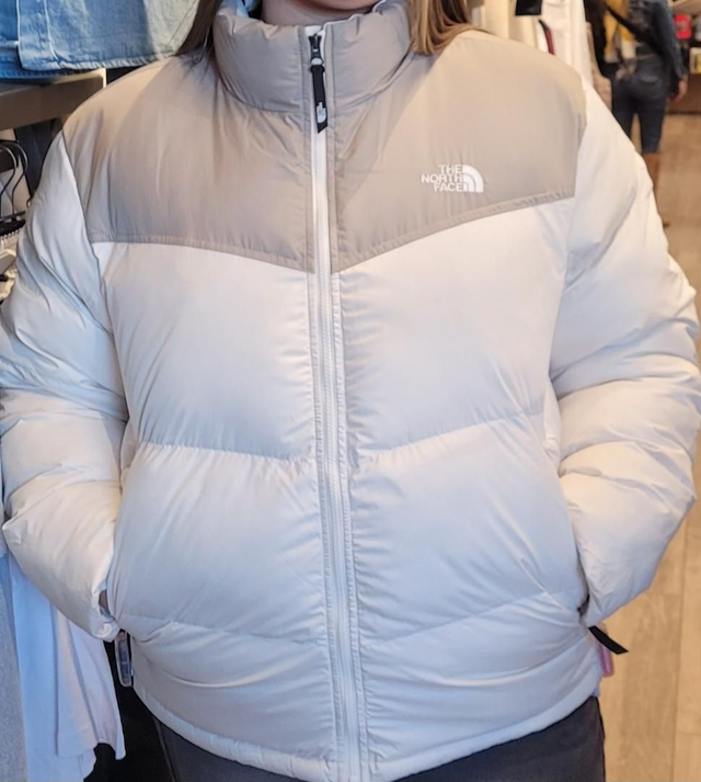 Parka the north face