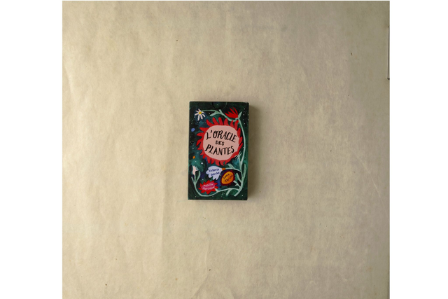 L&#039;Oracle des plantes ✦ 30 plantes médicinales