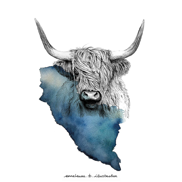 Carte "Highland cattle"