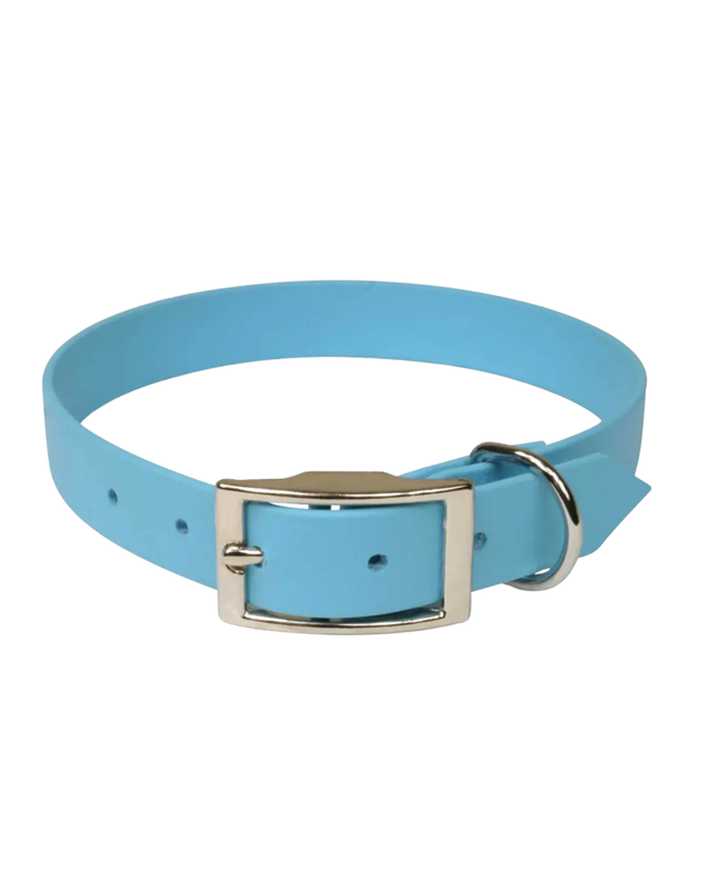 Collier biothane bleu