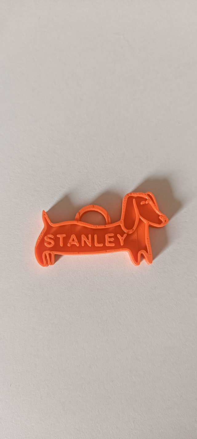 Dachshund tag