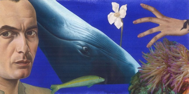 Splendeur et misère