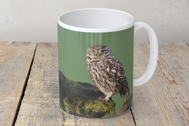“Little Owl” Mug  