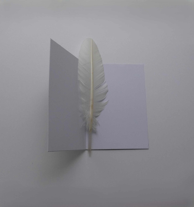 Le panda roux de Noël