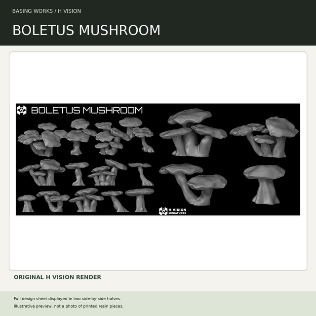 H Vision - Boletus Mushroom