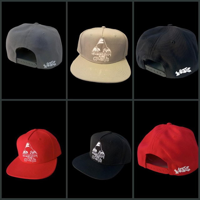 Snap back Free party IS NOT a crime taille ajustable 