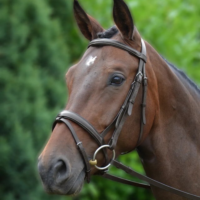 HY Padded Flash Bridle With Reins