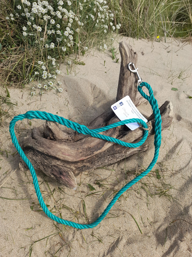 Dog Lead - Church Cove (Green)