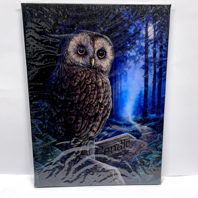 Lisa Parker Art - The Way Of The Witch Owl Hanging Canvas Print