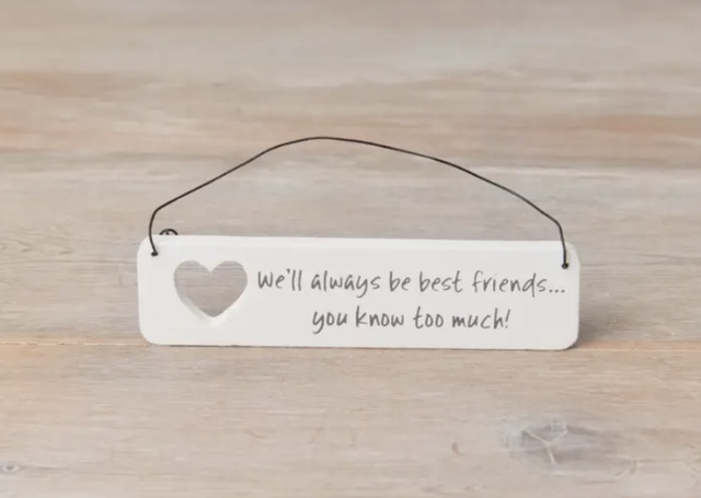 We’ll always be friends…. You know too much wooden sign 