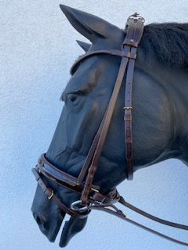 Trensenzaum inkl. Zügel und Stirnband aus Leder