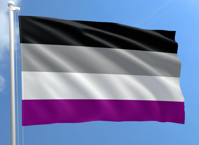 Asexual Flag