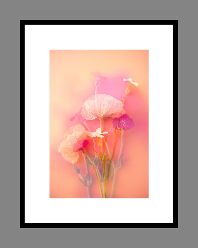 Collection du printemps * 4