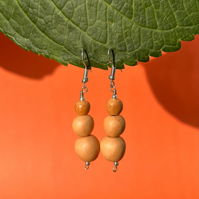 Brinco Bolas Lisas Longo Prata