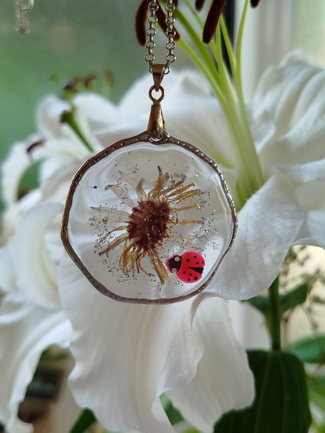 La fée coccinelle 