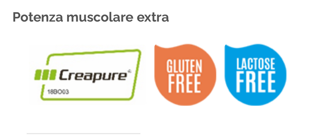 CREATINA PLATINUM 300 g