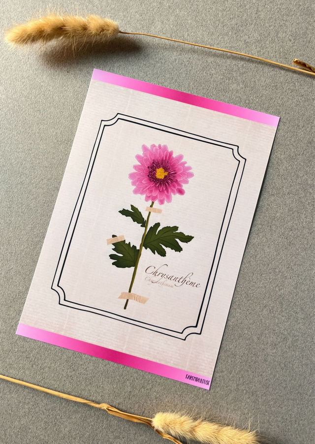 Affiche 11. Le Chrysanthème (novembre)