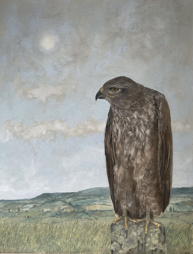 SP78  The Friendly Buzzard by Shelagh Popham,  23x30cm  Oil
