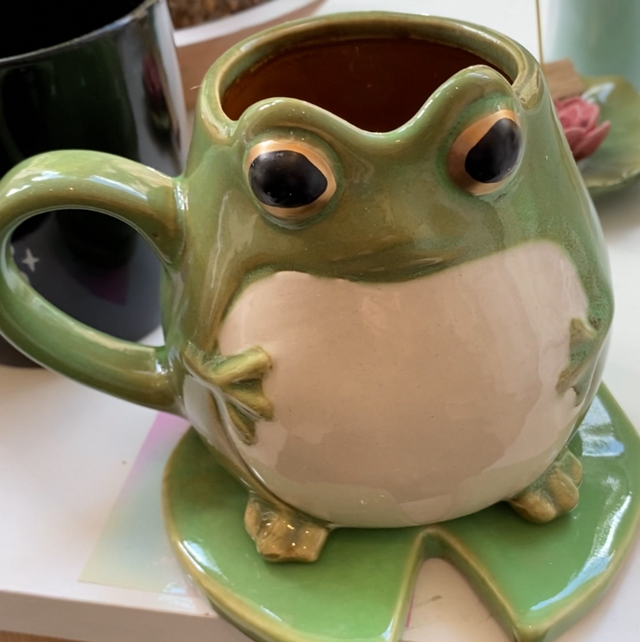 Frosch und Lilie