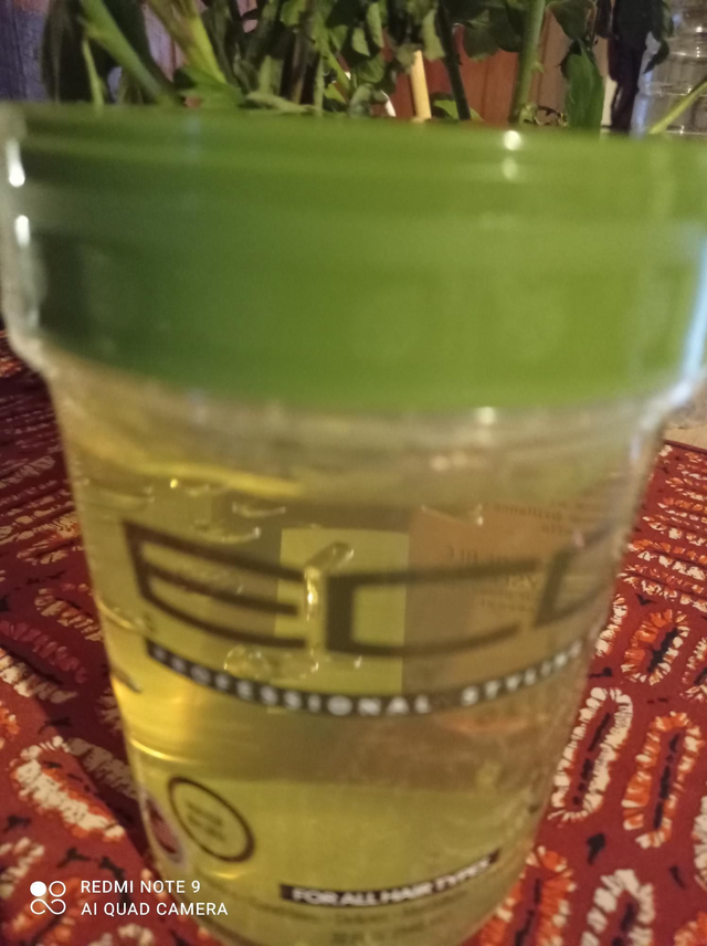 Gel ECO professional styling à l'huile d'olive 