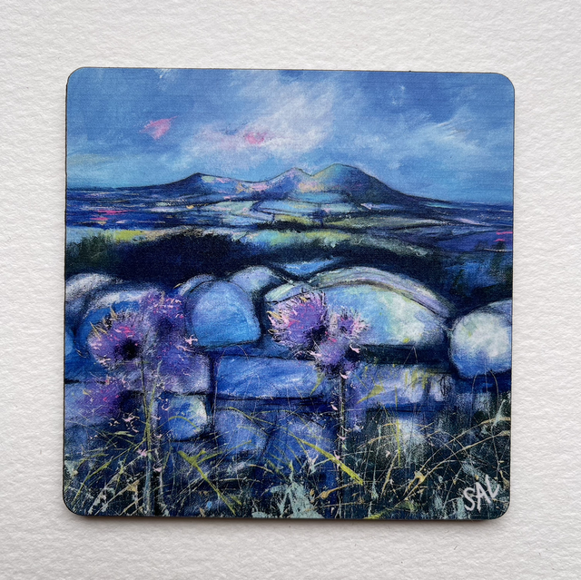 Coaster- Scott’s View