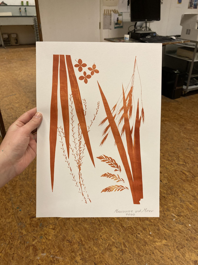  Botanisch zeefdrukken (op papier)