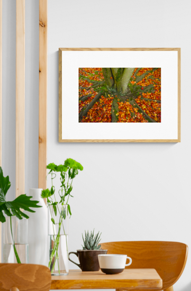 Autumn Leaves - Print
