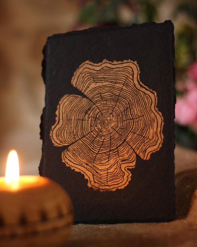 Coffret "Lumière et Sens"