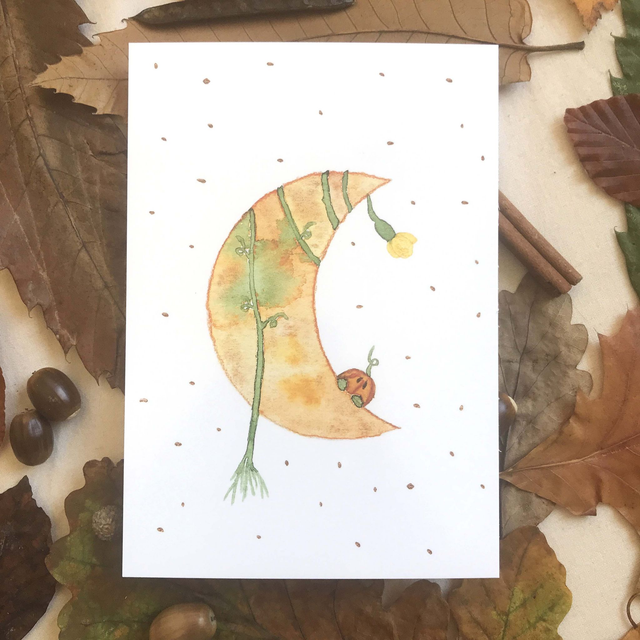 Carte postale pumpkin's spirit