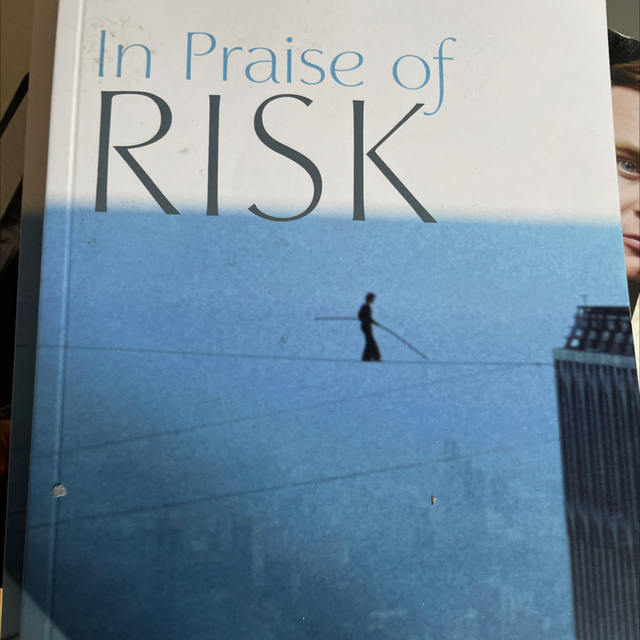 In Praise Of Risk Anne Dufourmantelle