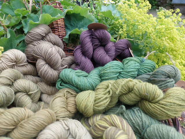 1 day Natural Dyeing Workshop 28th July