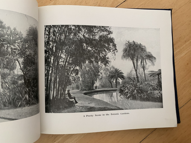 250 Choice Views Illustrative Sydney Melbourne Adelaide Brisbane Perth Tasmani