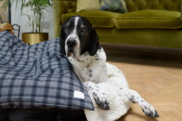 Doggie Duvet & Cover Grey Check