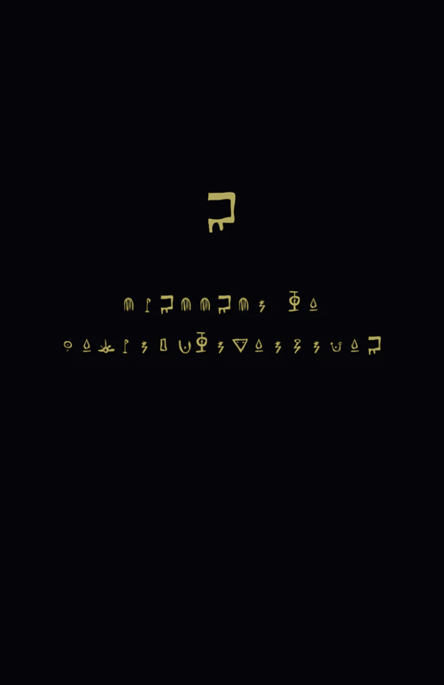 Adami Anna / Caracciolo Tommaso - Micromicoenciclopedia