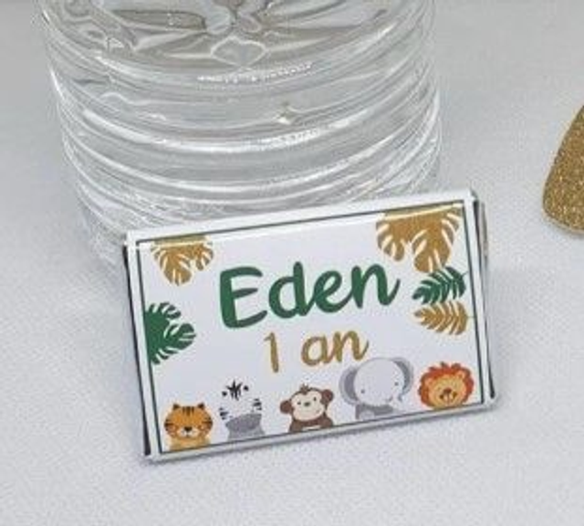 Lot de 10 mini chocolats personnalisés modèle jungle