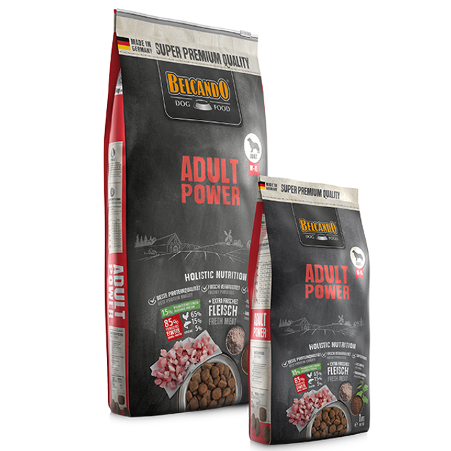 BELCANDO ADULT POWER 