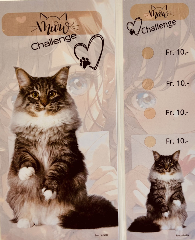 Miaou 11