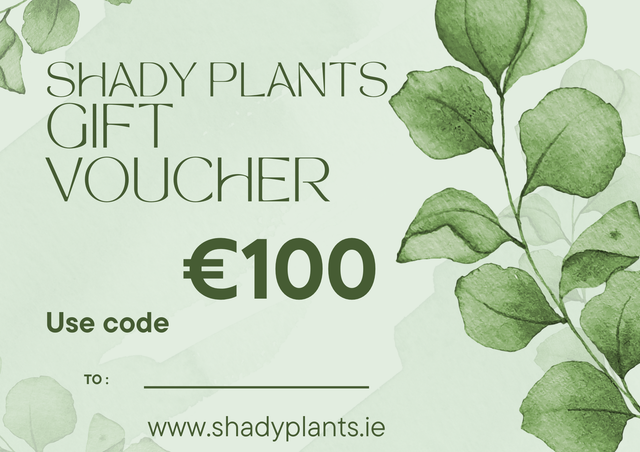 €100 Gift voucher 