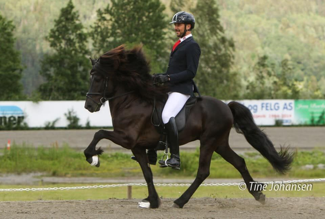 Decktaxe Garpur fra Højgaarden