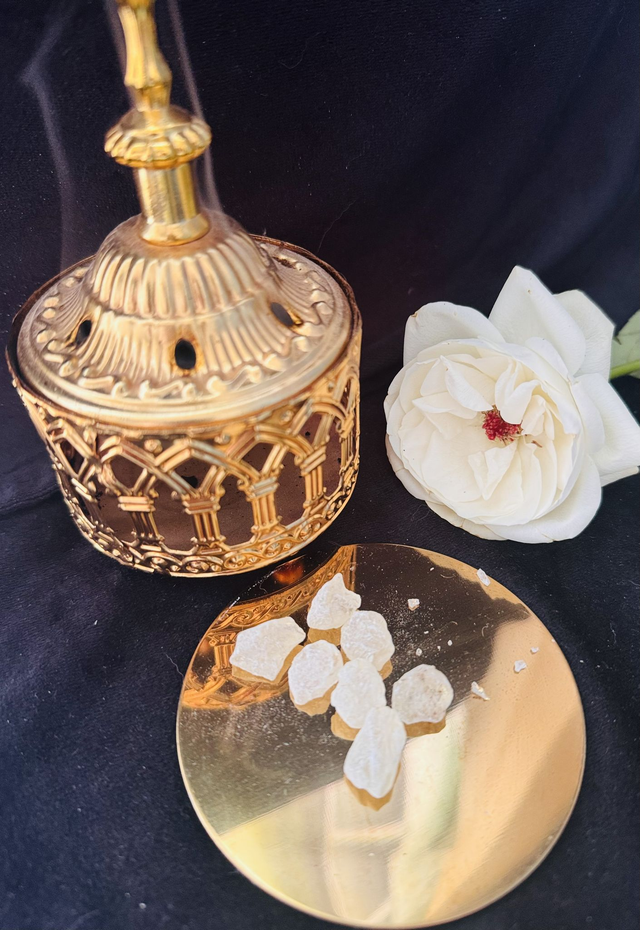 Dammar- Shore wiesnerie 30g Protection - Eclairsit le mental - Voyance 