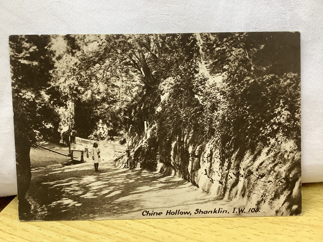 Shanklin, Chine Hollow, Isle of Wight, W.J. Nigh, Ventnor vintage postcard. Our Ref R607 £2.50