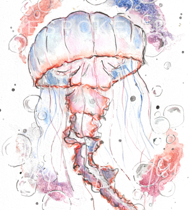 ‘Julia’ Print