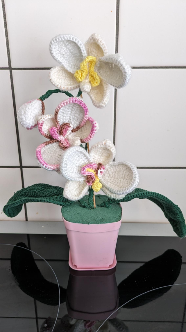 Orchidée crochet 